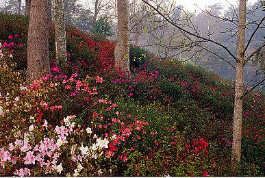 《猎天使魔女3》“女巫时刻”中文预告片